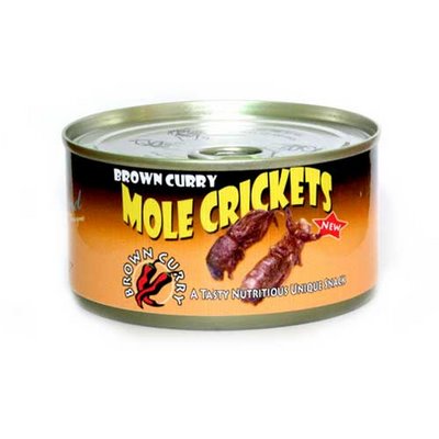 Brown Mole Cricket Curry
