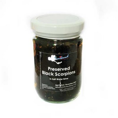 Preserved Black Scorpions