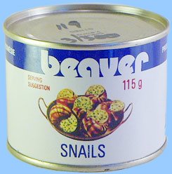 Beaver or Snail? Snail...