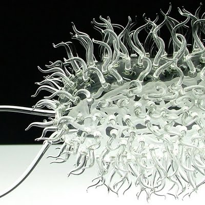 Cool Glass Sculptures...of diseases