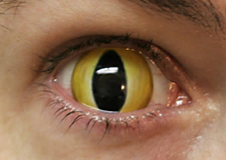 Strangest Contact Lenses