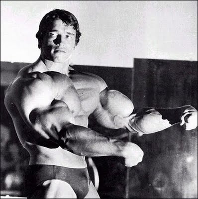 Young Arnold Schwarzenegger