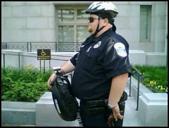 Fat Cops