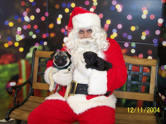 Pugs and Drunken Mall Santa