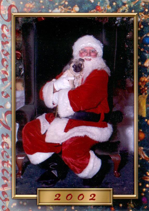 Pugs and Drunken Mall Santa