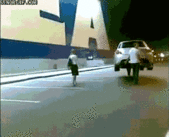 The Daily Dump - GIFtastic edition