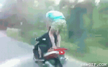 The Daily Dump - GIFtastic edition