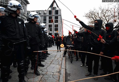 The Daily Dump - GIFtastic edition