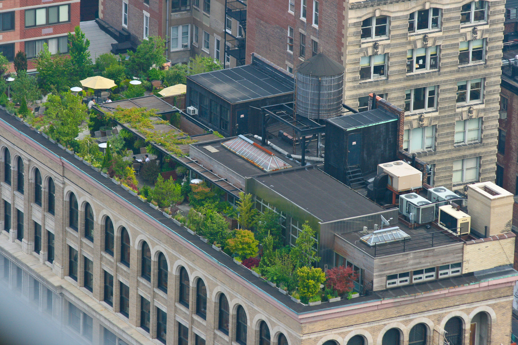 NYC rooftops