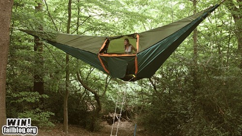 Tree Top Tent