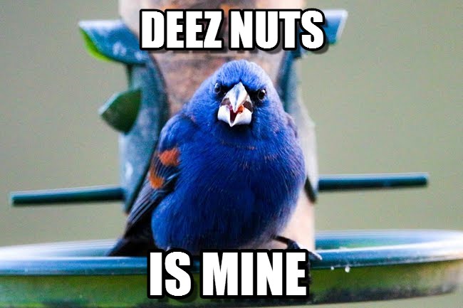 Deez nuts is mine