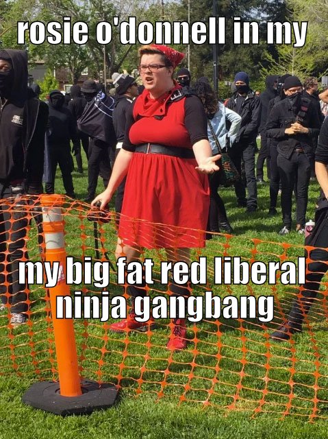 it's rosie banging 17 liberals in ninja suits.