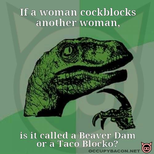 funny time - If a woman cockblocks another woman, is it called a Beaver Dam or a Taco Blocko? Occupybacon.Net