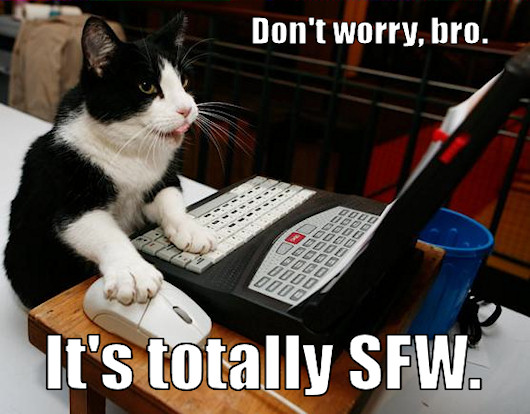 random pic cat on computer - Don't worry, bro. It's totally Sfw.