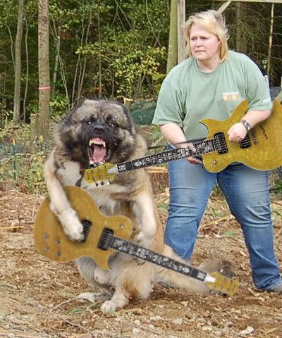 Random Internet Bullshit Vol 19