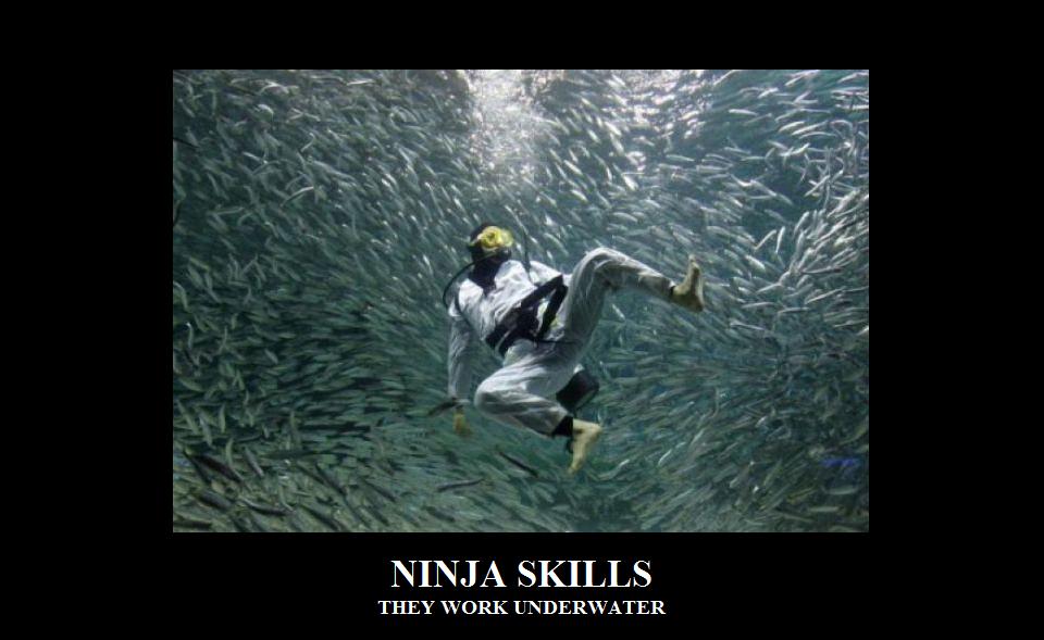 Ninja skills Picture eBaum's World