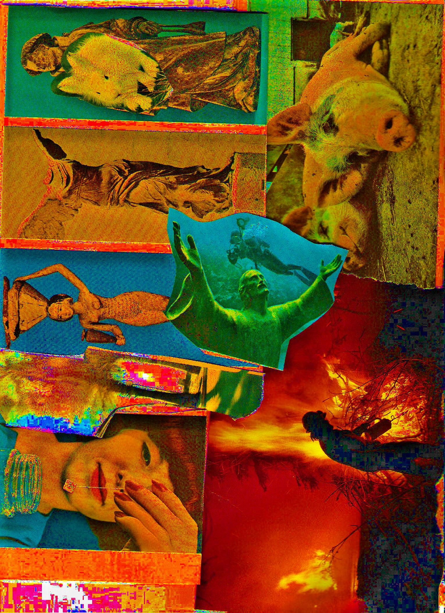 Collage collection