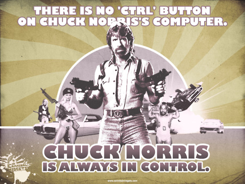 CHUCK NORRIS FACTS