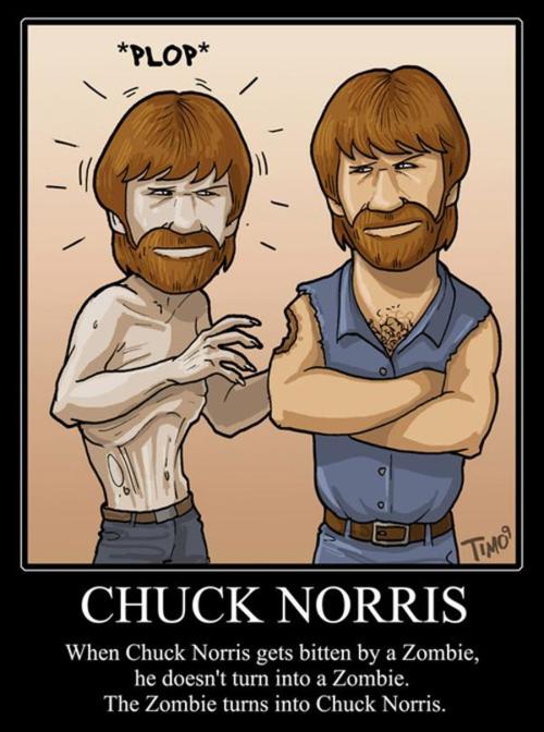 CHUCK NORRIS FACTS