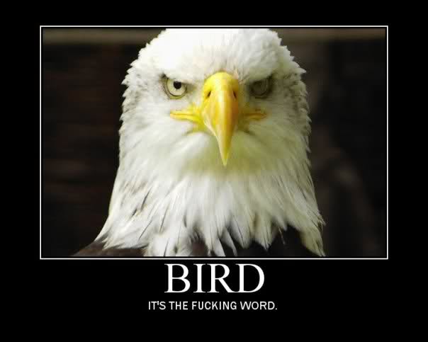 sarcastic bird - Bird It'S The Fucking Word.