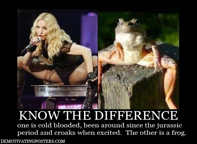 madonna frog meme - Know The Difference one is cold blooded, been around since the jurassic period and croaks when excited. The other is a frog. Demotivatingposters.Com