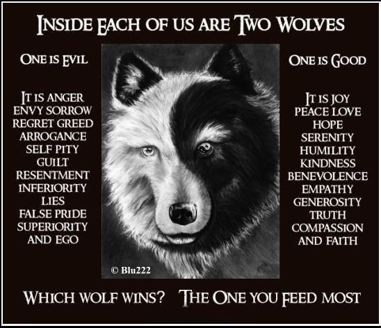 good and bad wolf - Inside Fach Of Us Are Two Wolves One Is Evil One Is Good It Is Anger Envy Sorrow Regret Greed Arrogance Self Pity Guilt Resentment Inferiority Lies False Pride Superiority And Ego It Is Joy Peace Love Hope Serenity Humility Kindness Be