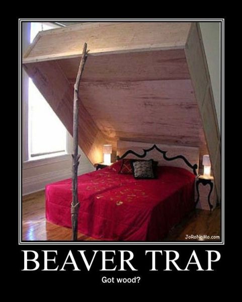 really cool beds - JoRoNoMo.com Beaver Trap Got wood?