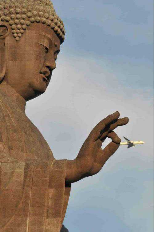 50 Perfectly Timed Photos