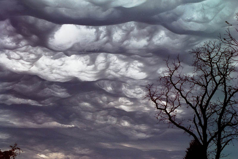 Undulatus asperatus:  The ominous-looking clouds have been particularly common in the Plains states of the United States, often during the morning or midday hours following convective thunderstorm activity.