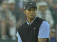 tiger woods butthole gif