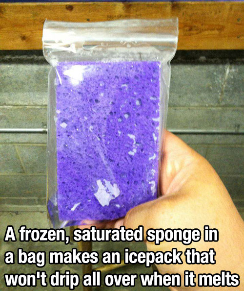 amazing life hacks - A frozen, saturated sponge in a bag makes an icepack that won't drip all over when it melts