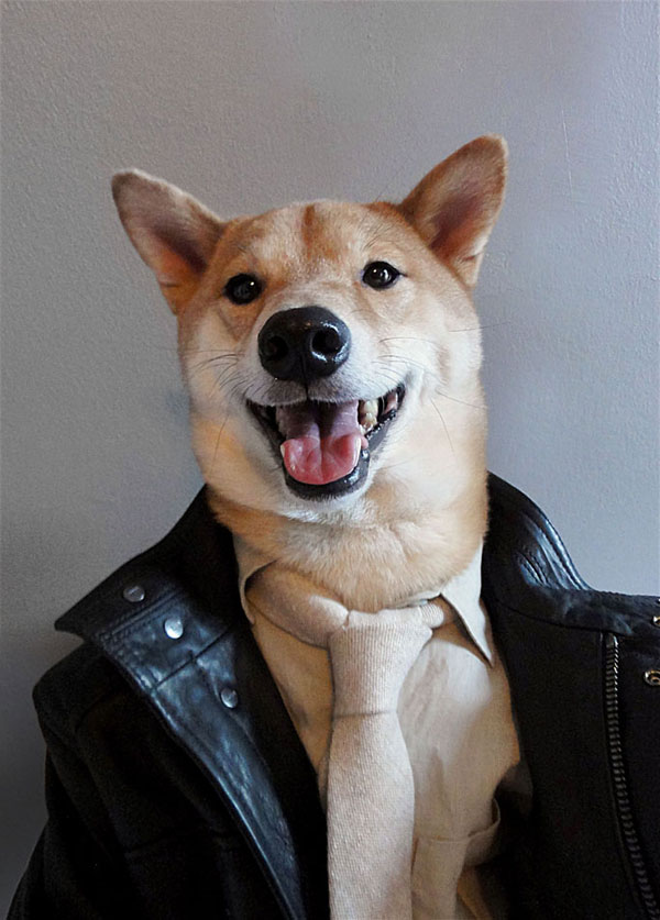 Bodhi, the World's Best Dressed Dog