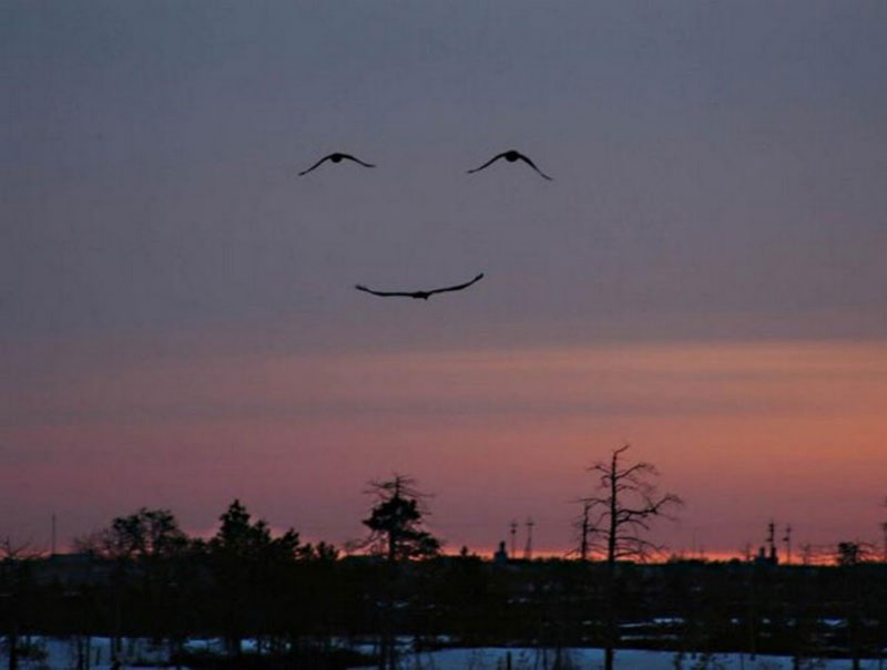 nature smiling