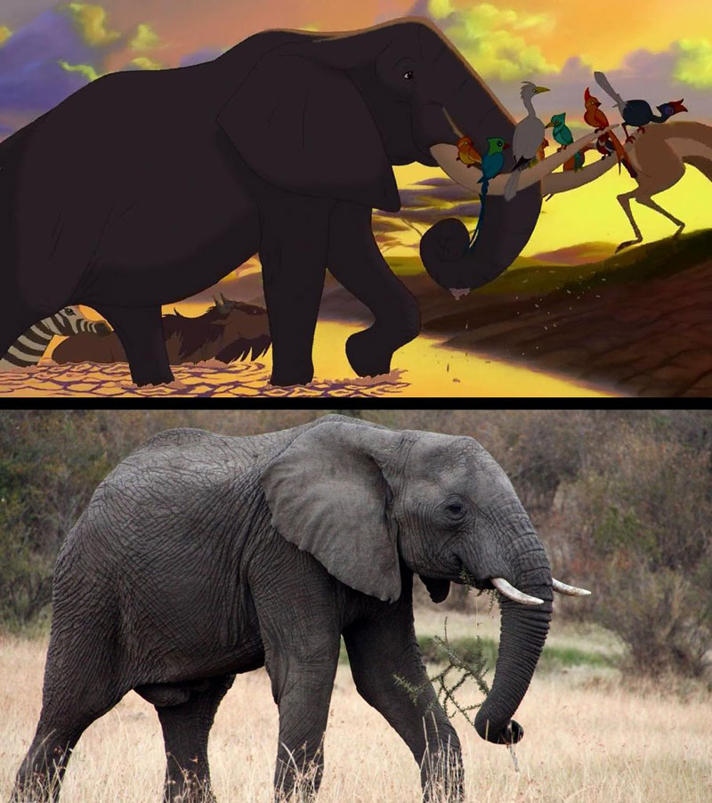 The Lion King vs A Real Life Safari