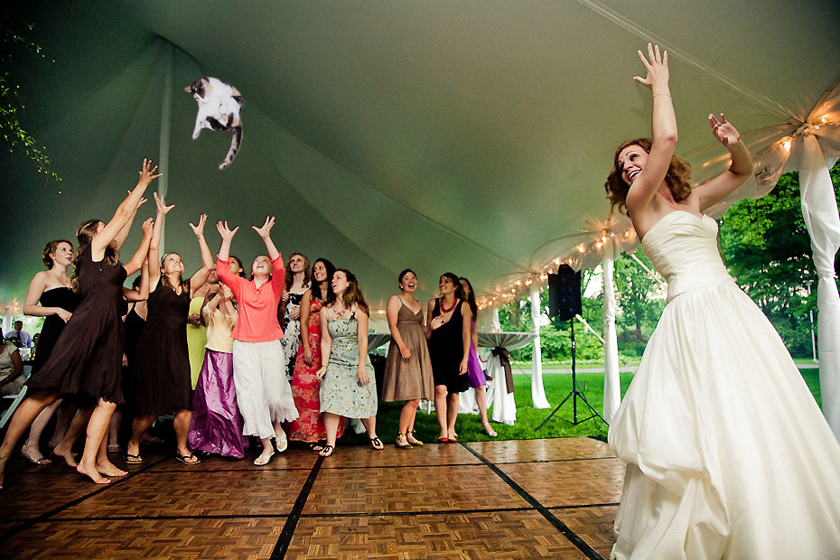 Brides Throwing Cats Instead Of Flowers