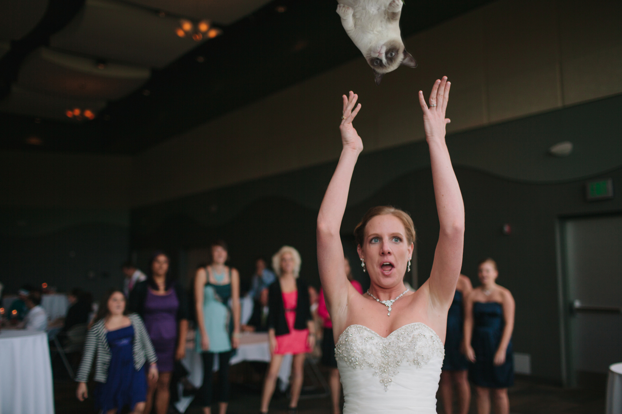 Brides Throwing Cats Instead Of Flowers