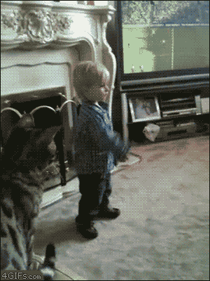 GIFS Of Animals Expressing No Mercy For Kids