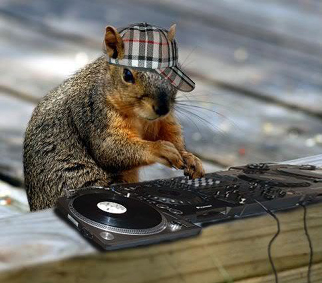 Storing up his beats for the winter.