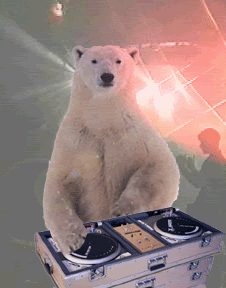 DJ Polar Bear