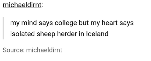 document - michaeldirnt my mind says college but my heart says isolated sheep herder in Iceland Source michaeldirnt