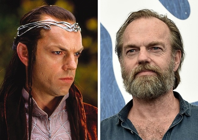 Elrond (Hugo Weaving) - Apart from playing the Elven king Elrond, Hugo Weaving starred as the insidious Agent Smith in the Matrix trilogy and as V in V For Vendetta.