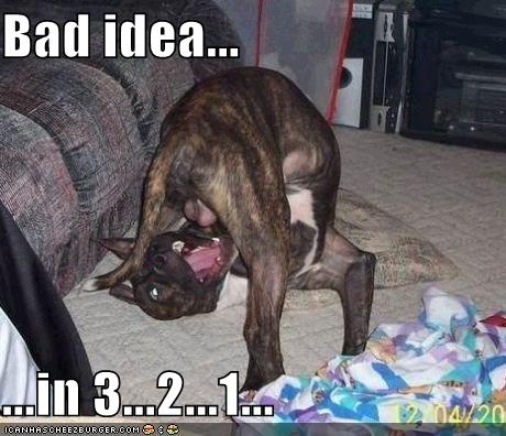 The best of randoms.