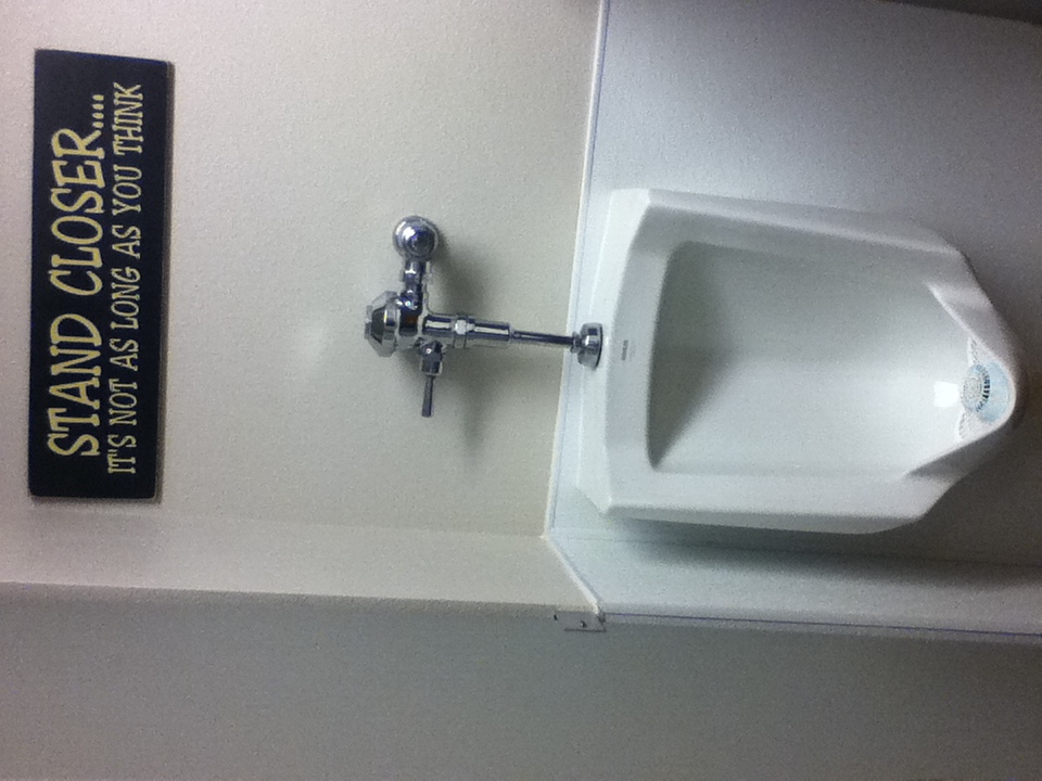 The best of randoms.