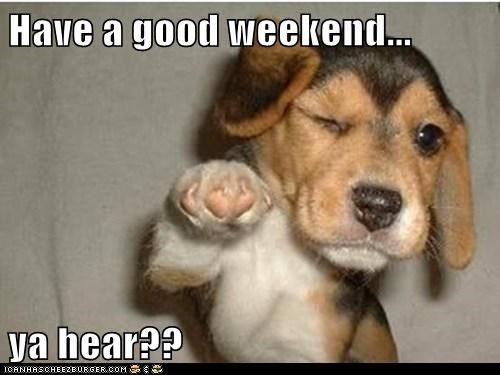 happy dog - Have a good weekend... ya hear?? Icanhas Cheezburger.Com