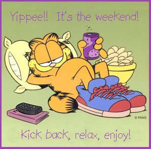 can but i won t garfield - Yippee!! It's the weekend! Kick back, relax, enjoy!