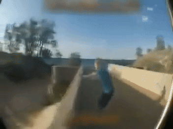 Gifs to make your day better