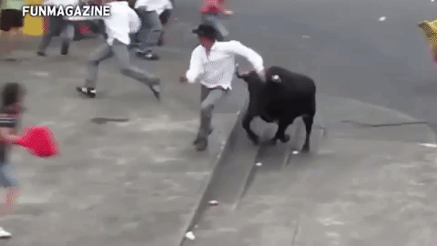 If you mess with the bull