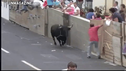 If you mess with the bull