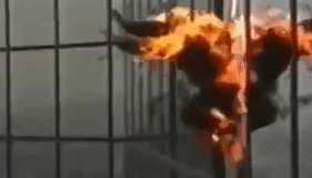 people are awesome gif of burning person jumping out window