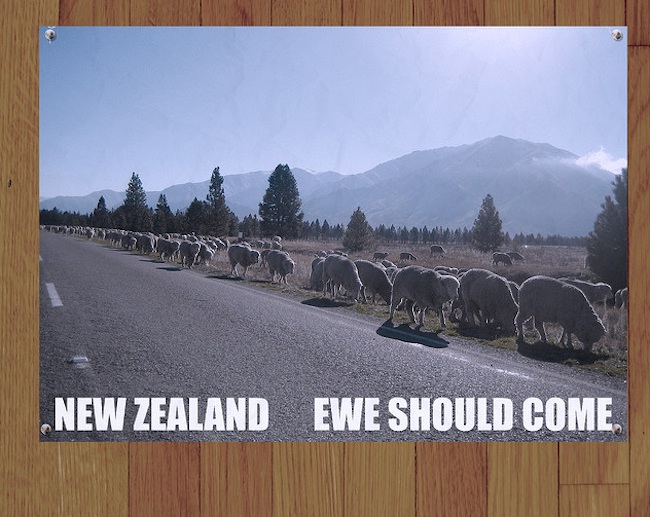 flight of the conchords new zealand tourism poster - New Zealand Ewe Should Come
